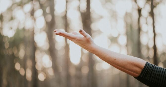 Electro - Acupuncture