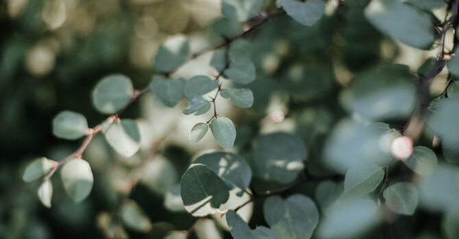 Nano Needling for Facial rejuvenation